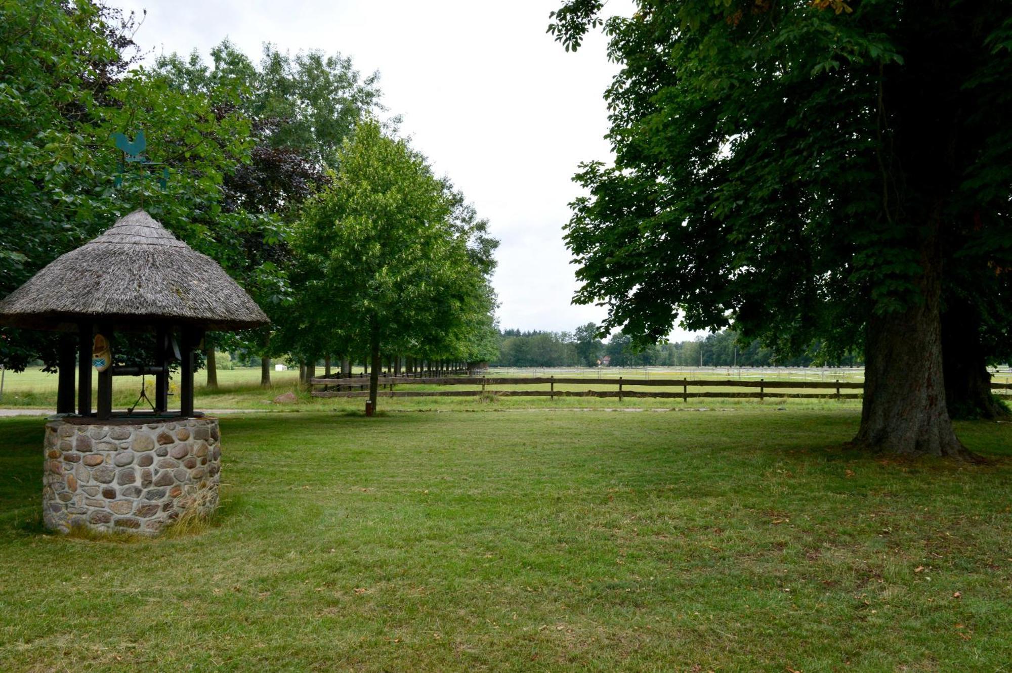 Ferienwohnung Juttashof Camin Exterior photo